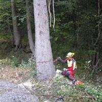 Waldtag+zum+Thema+Arbeitssicherheit