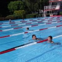 Schwimmmeisterschaften